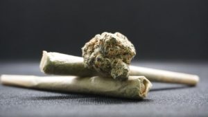 canabis-marijuana-bumps-8054140_1280 farsi le canne